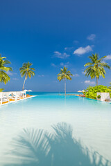 Fototapeta premium Panoramic tourism landscape. Luxury poolside beach resort hotel swimming pool lounge chairs beds umbrellas palm trees, relax lifestyle blue sky sunshine. Summer tropics island, leisure travel vacation