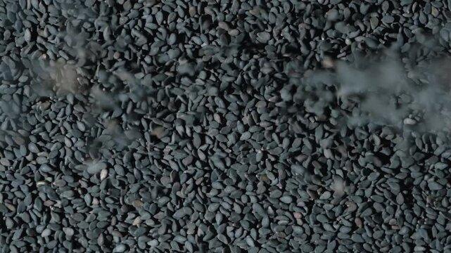 Healthy black sesame seeds pour, top view slow motion