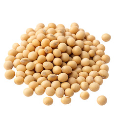 Pile of Isolated Soybeans Photo