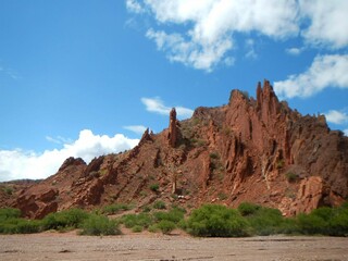 Fototapeta premium Rocks along the desert with vegetation