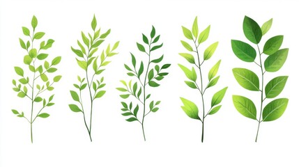 Fototapeta premium Green foliage collection featuring various leafy stems for nature and botanical design