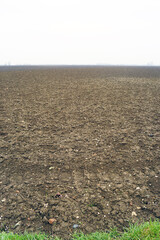 Traditional methods in farming: vertical photo of a field processed with agricultural machinery....