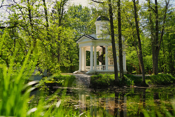 Gazebo Reflected in Tranquil Park Pond