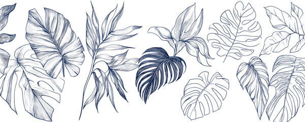 Flat linear botanical icons set featuring monstera and tropical leaves in vector style.