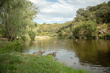 Beautiful lakeside view from a small lake in Sweden, with lush green trees, blue sky and sunlight