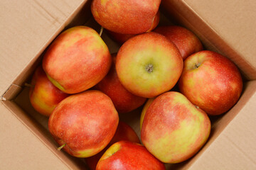 An overhead view of a cardboard box filled with red and green apples, arranged in a dense layout