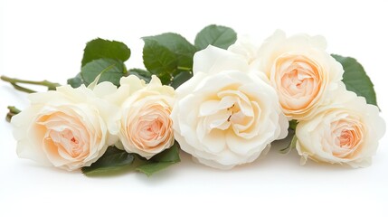 White rose wedding bouquet isolated