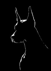 silhouette of a doberman dog
