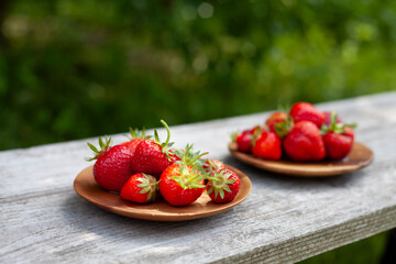 Strawberry fruit in the bowl -  fresh from the soft fruit garden, harvest time - picked and ready to eat.