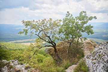 Obraz premium Beautiful mountain landscape, Caucasus mountains