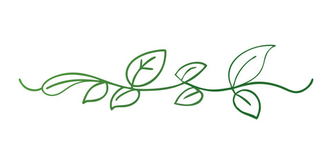 Obraz premium Green leafy vine decoration