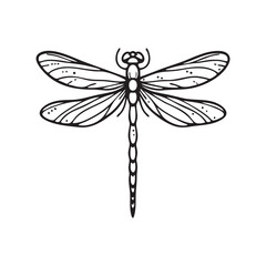 vector illustration of a dragonfly.  coloring page
