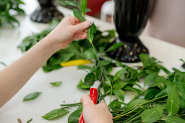 The florist is pruning the ruskus, the staff for the bouquet. Hands in close-up
