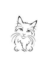 Outlined cute cat portrait isolated on white