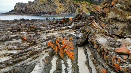 A rocky bay in Australia covered in orange lichen, seen from above