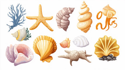 Obraz premium Sea marine animals and shells souvenirs cartoon vector illustration spiral tropical mollusk mussel decoration