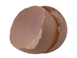 broken eggshell on white background, close-up
