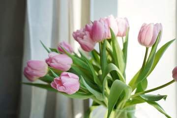 Bouquet of pink tulip flowers on spring sky background