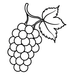 bunch of grapes vector illustration