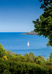 Fototapety na wymiar - Fototapeta24.pl