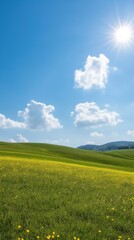 Obraz premium A field of yellow flowers with a blue sky in the background. The sun is shining brightly, creating a warm and inviting atmosphere