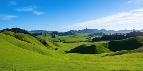 Obraz premium A large, open field with a blue sky in the background. The grass is lush and green, and the landscape is peaceful and serene