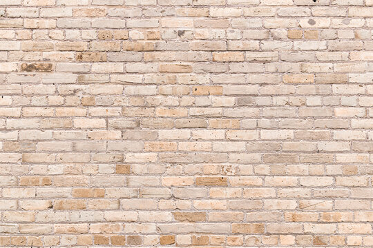 Fototapeta Cream City brick wall background tan cream