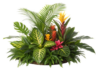 Fototapeta premium Tropical plants and flowers