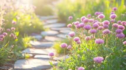 Fototapeta premium Serene Garden Path at Sunset: Blooming Pink Flowers and Stone Walkway