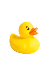 yellow rubber duck isolated