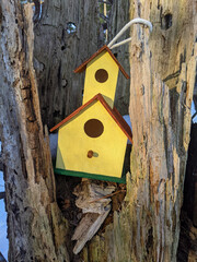 A bright yellow and brown birdhouse placed on an old tree trunk amidst a snowy forest in winter. This setup showcases a cozy environment perfect for birds during the chilling season.