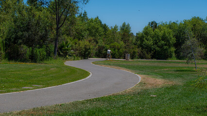path in the park