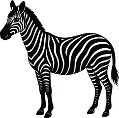 A zebra silhouette illustration on white background.