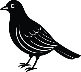 A  bird silhouette illustration  on white background.