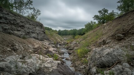 Serene Creek in Rock Under a Cloudy Sky