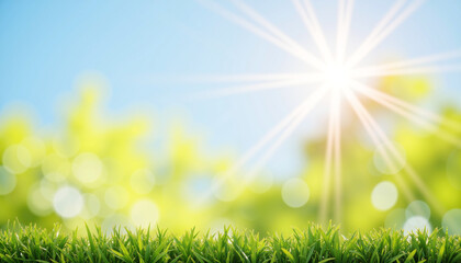 Obraz premium Spring nature background with sunlight shining over fresh green grass with copy space