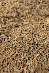 Organic Cumin Seeds for Cooking and Seasoning