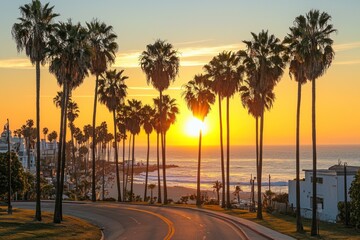 Obraz premium Sunset view down the road with palm trees, ocean, and city buildings