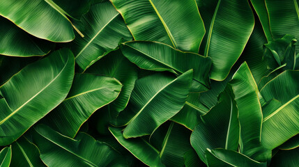 Obraz premium Seamless pattern with banana leaves vector illustration.