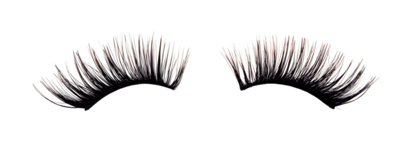 Black false eyelashes placed on white or transparent background, clipping path
