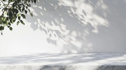 Fototapeta premium Marble table with tree shadow drop on white wall background for mockup product display 