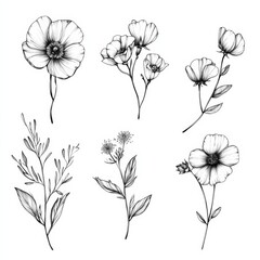 Naklejka premium tattoo flower collection. Hand-drawn wildflower vector set with contemporary abstract botanical art in ink, charcoal, or crayon style.
