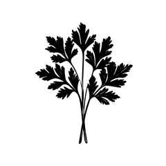 Fototapeta premium Elegant vector illustration of detailed parsley leaves showcasing nature's beauty and culinary charm in a monochromatic design