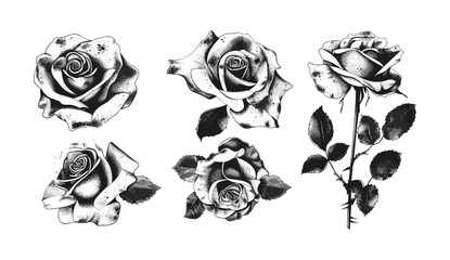 Y2K roses, grunge stippling texture, messy grain flower heads, trendy aesthetic vector, t-shirt print, sweatshirt design, poster illustration, floral art, creative vector design