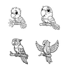 Obraz premium macaw...