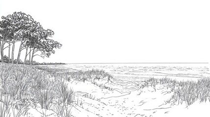 Obraz premium Gulf Islands Seashore Line Art Coloring Page - A serene beach scene perfect for coloring. Five concepts symbolized: nature, tranquility, relaxation, escape, coastal beauty