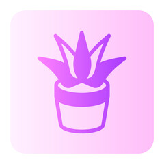 Aloe Vera gradient icon