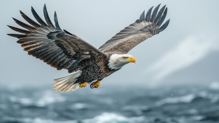 A magnificent eagle in flight over a vast turbulent sea