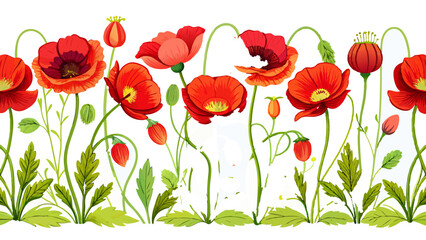 Fototapeta premium horizontal seamless border with poppy flowers isolated on white background Low Angle