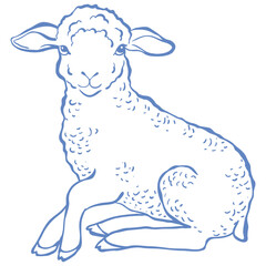 Line Art Cute Lamb. Vector Illustration.